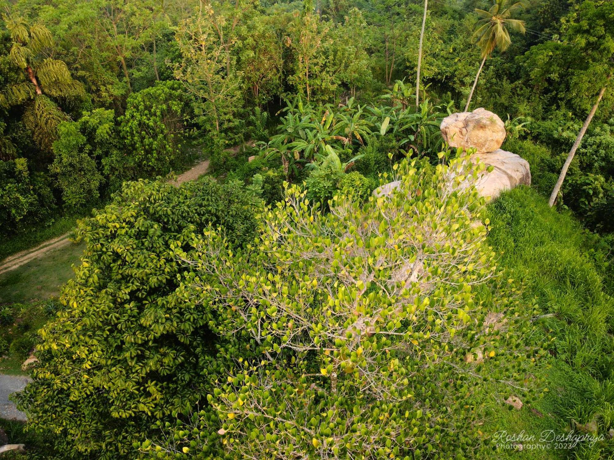Kakulanda Resort Kurunegala Eksteriør bilde